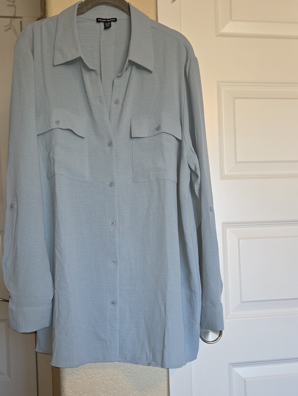 Hilary Radley Pale Blue Long Sleeve Button-Down Shirt